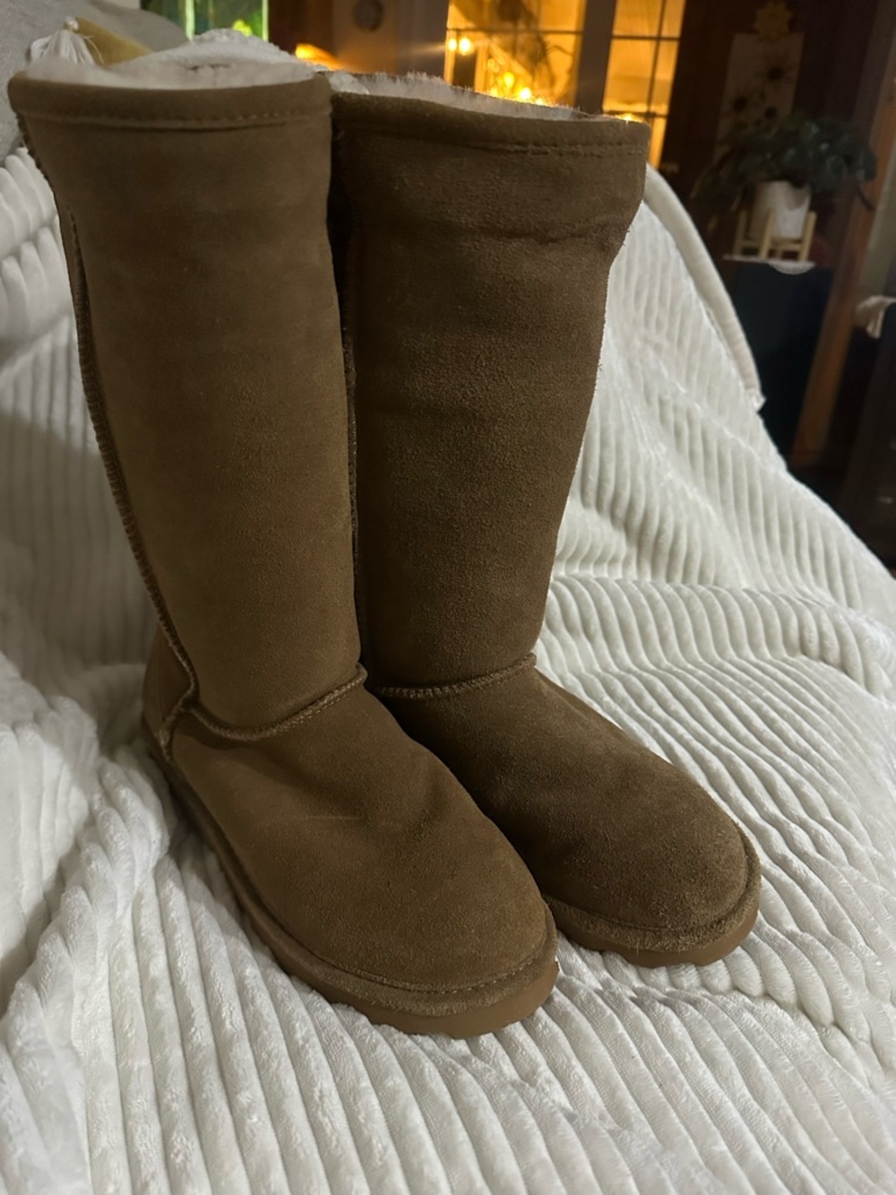BearPaw Tall Winter Boots in Brown Suede